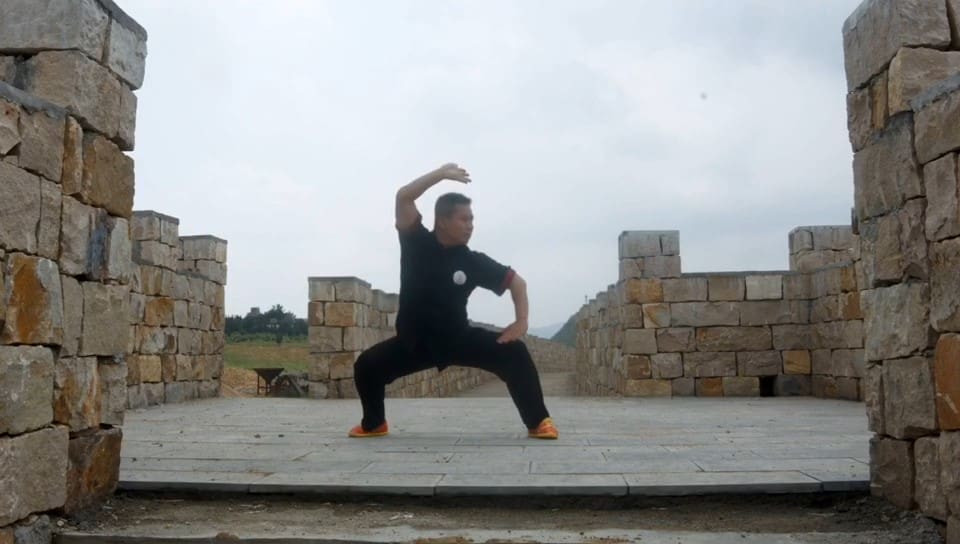 Shi Xingbo The current dean of China Shaolin Temple International Martial Arts Academy